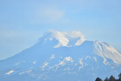 DSC_6018 (Large).JPG